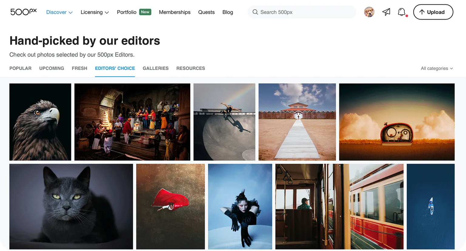 Screenshot of 500px.com